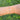 Pulsera Concha